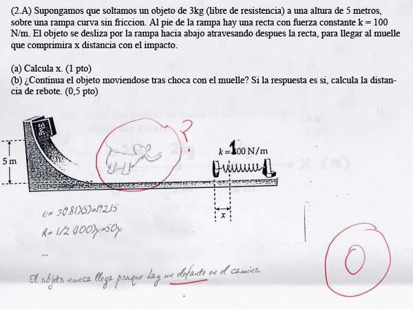 Examenes Graciosos